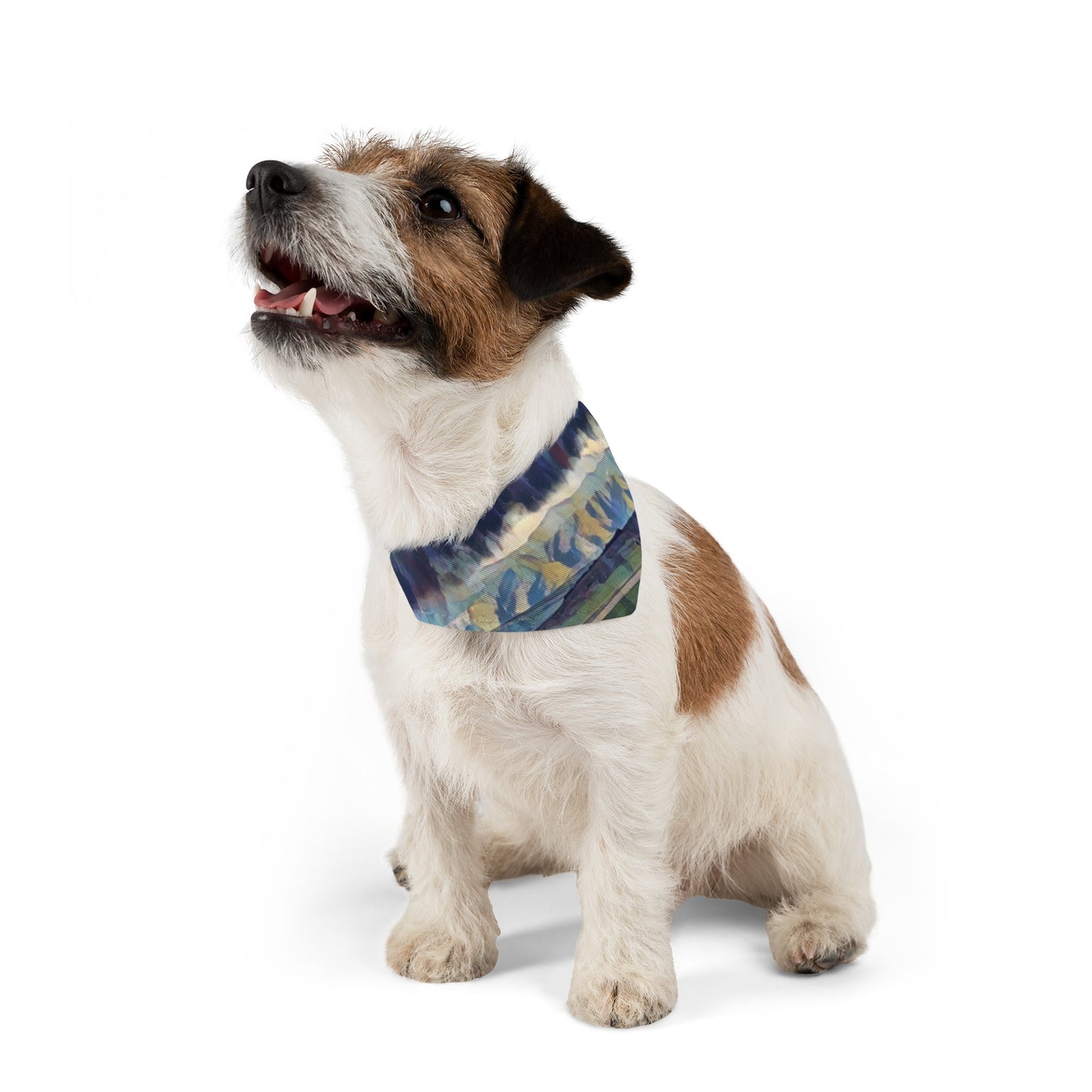 Pet Bandana Collar ... On-The-Prairie .. "The Storm Is Brewing" ... Central Idaho: November 2023 ... Original Works ...