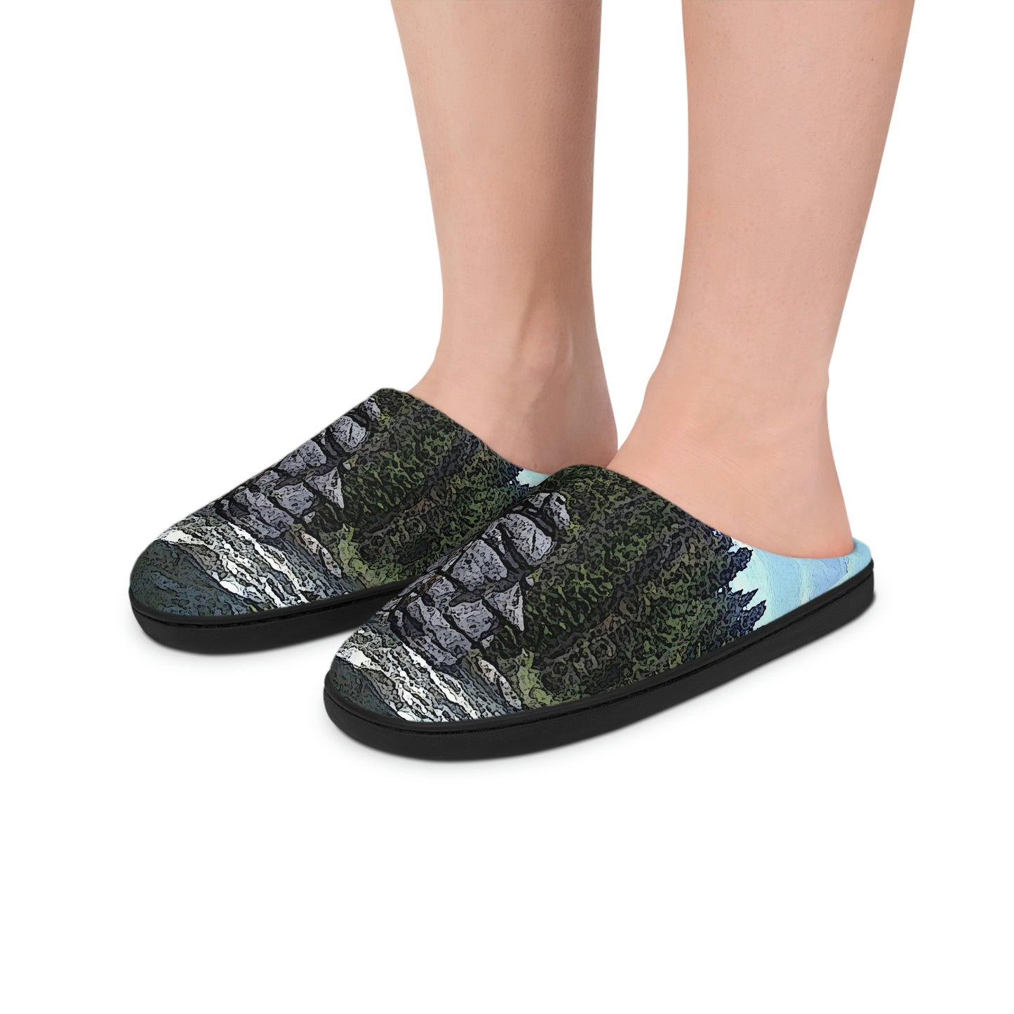 Men's Indoor Slippers ..."I Am Innocent" ... Tricky-Dick Immortalized ... Nixon Rock: Along The River ... Central Idaho, Summer 2020 ... Original Works ...