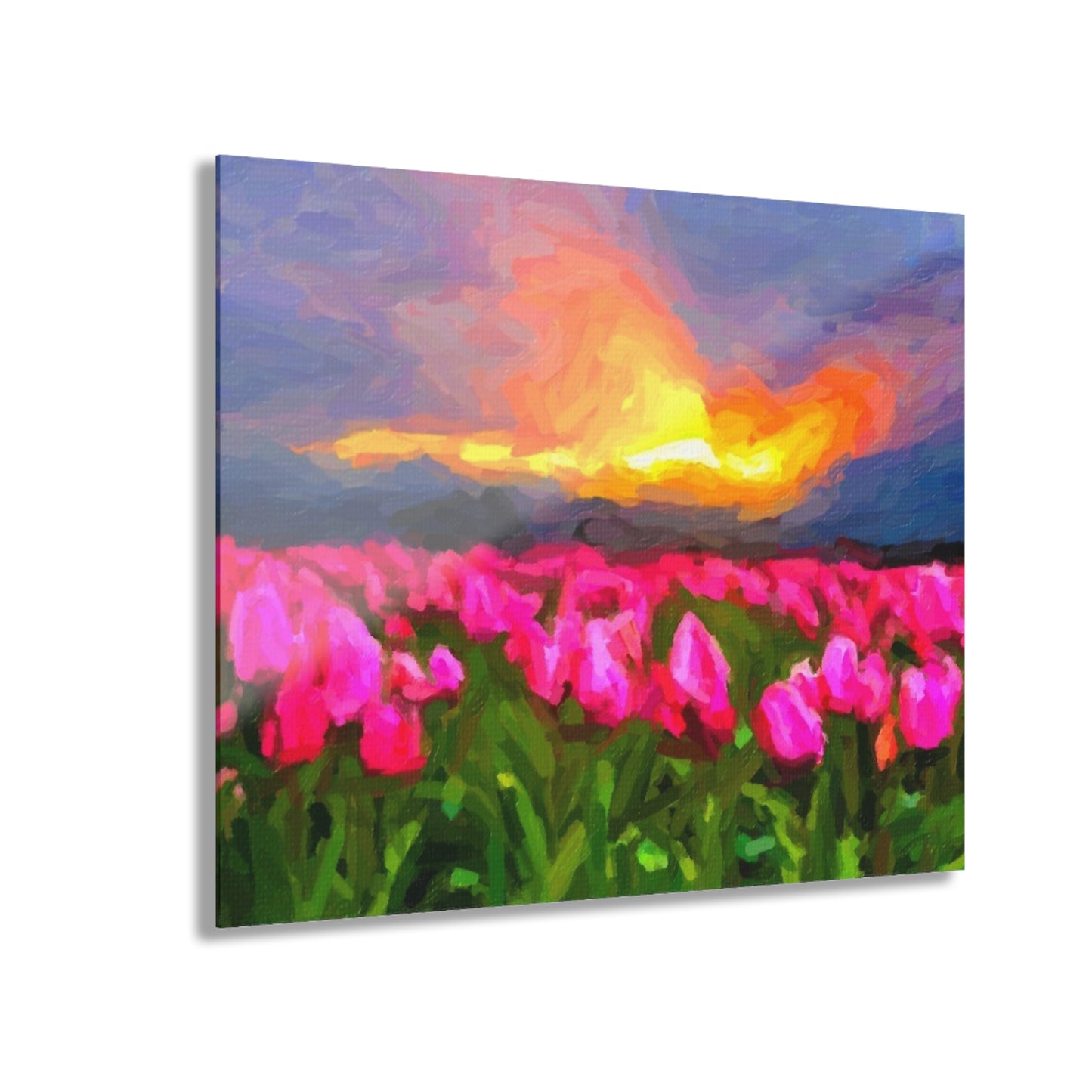 Acrylic Prints (French Cleat Hanging) ... Skagit Valley Tulips ... Skagit Valley, Washington ... Family Archives ... Original Works ... Circa 1980's ...