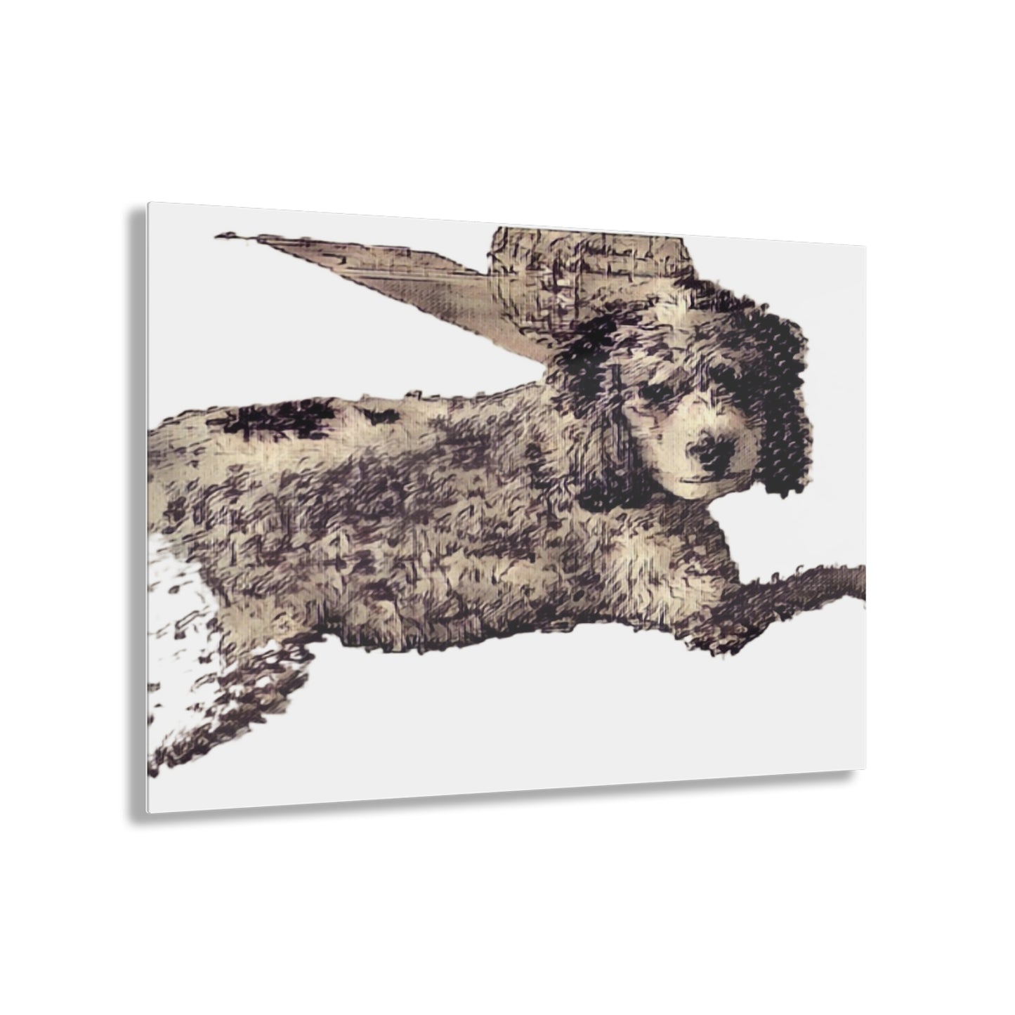 Acrylic Prints ... Sadie Johnson_Stenzel ... "Original Works" ... December 2023 ...