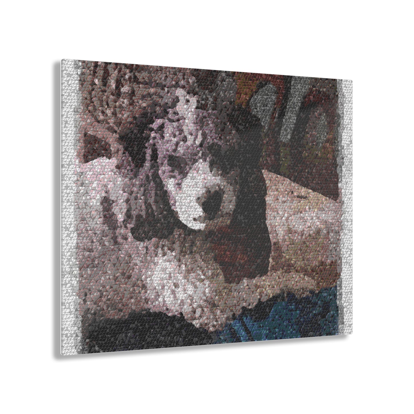 Acrylic Prints ... Sadie Johnson_Stenzel ... "Original Works" ... December 2023 ...