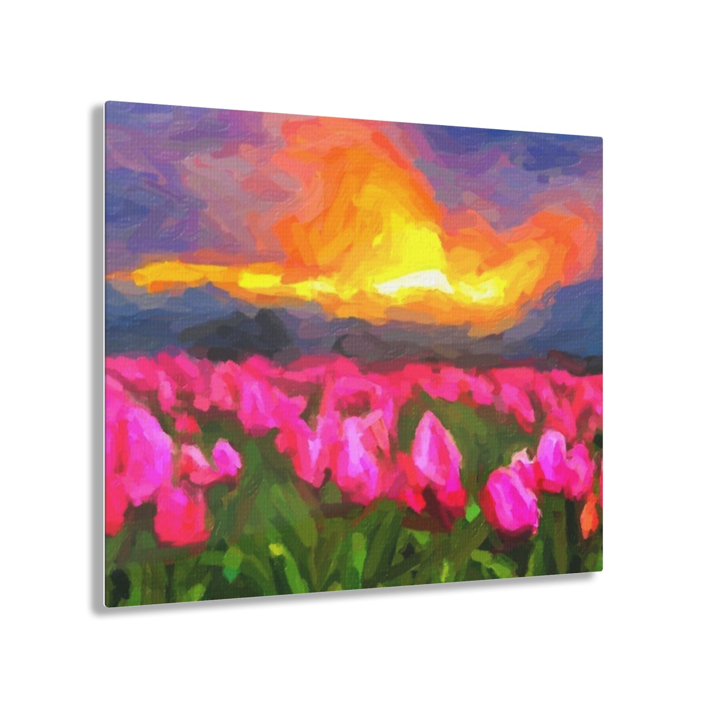 Acrylic Prints ... Skagit Valley Tulips ... Skagit Valley, Washington ... Family Archives ... Original Works ... Circa 1980's ...