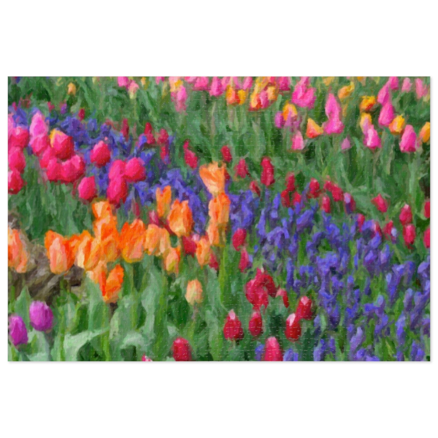 Jigsaw Puzzle (30, 110, 252, 500,1000-Piece) ... Skagit Valley Tulips ... Skagit Valley, Washington ... Family Archives ... Original Works ... Circa 1980's ...