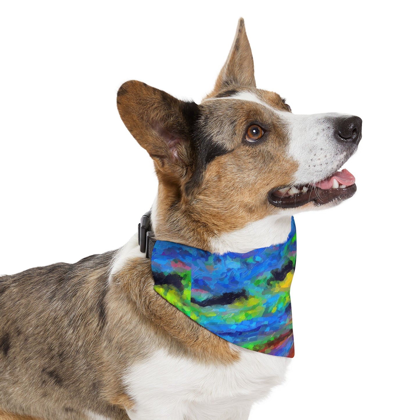 Pet Bandana Collar ... On-The-Prairie .. "The Storm Is Brewing" ... Central Idaho: November 2023 ... Original Works  ...