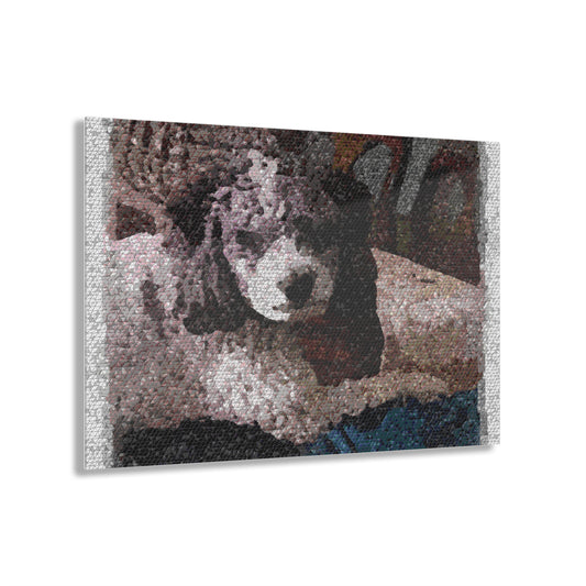 Acrylic Prints ... Sadie Johnson_Stenzel ... "Original Works" ... December 2023 ...
