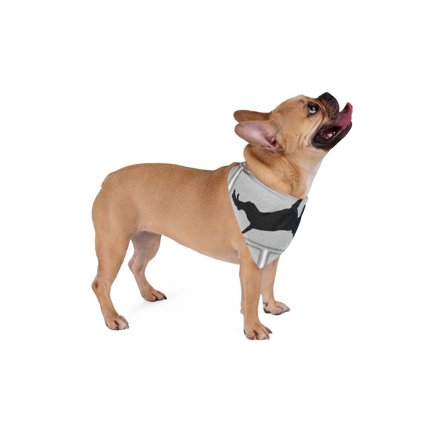 Pet Bandana ... Jett Stenzel ... "Having Fun With Dad & Friends" ... Rhett Creek, Idaho ... Spring 2023 ... Original Works ...