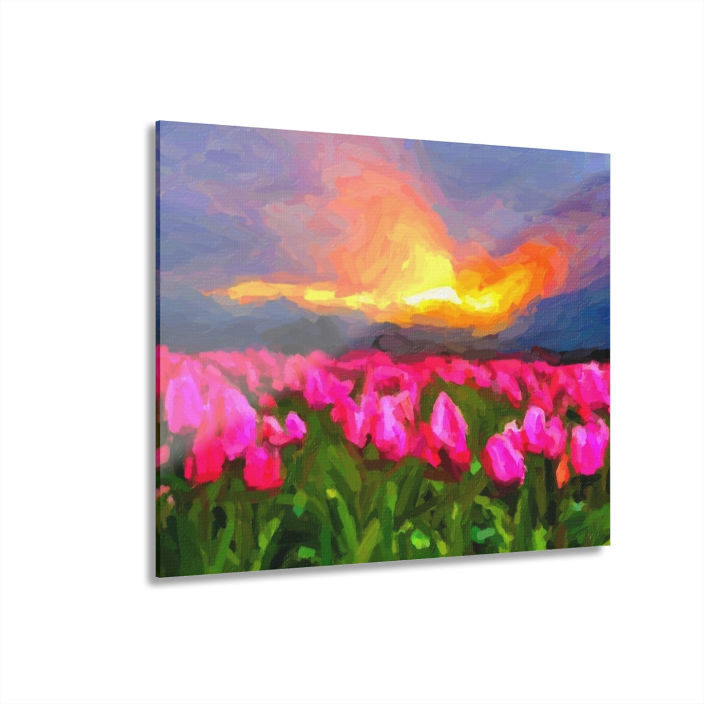 Acrylic Prints (French Cleat Hanging) ... Skagit Valley Tulips ... Skagit Valley, Washington ... Family Archives ... Original Works ... Circa 1980's ...