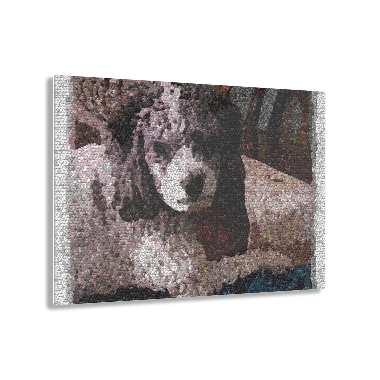 Acrylic Prints ... Sadie Johnson_Stenzel ... "Original Works" ... December 2023 ...