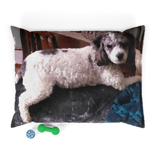 Pet Bed ... Sadie Johnson_Stenzel ... "Original Works" ... December 2023 ...