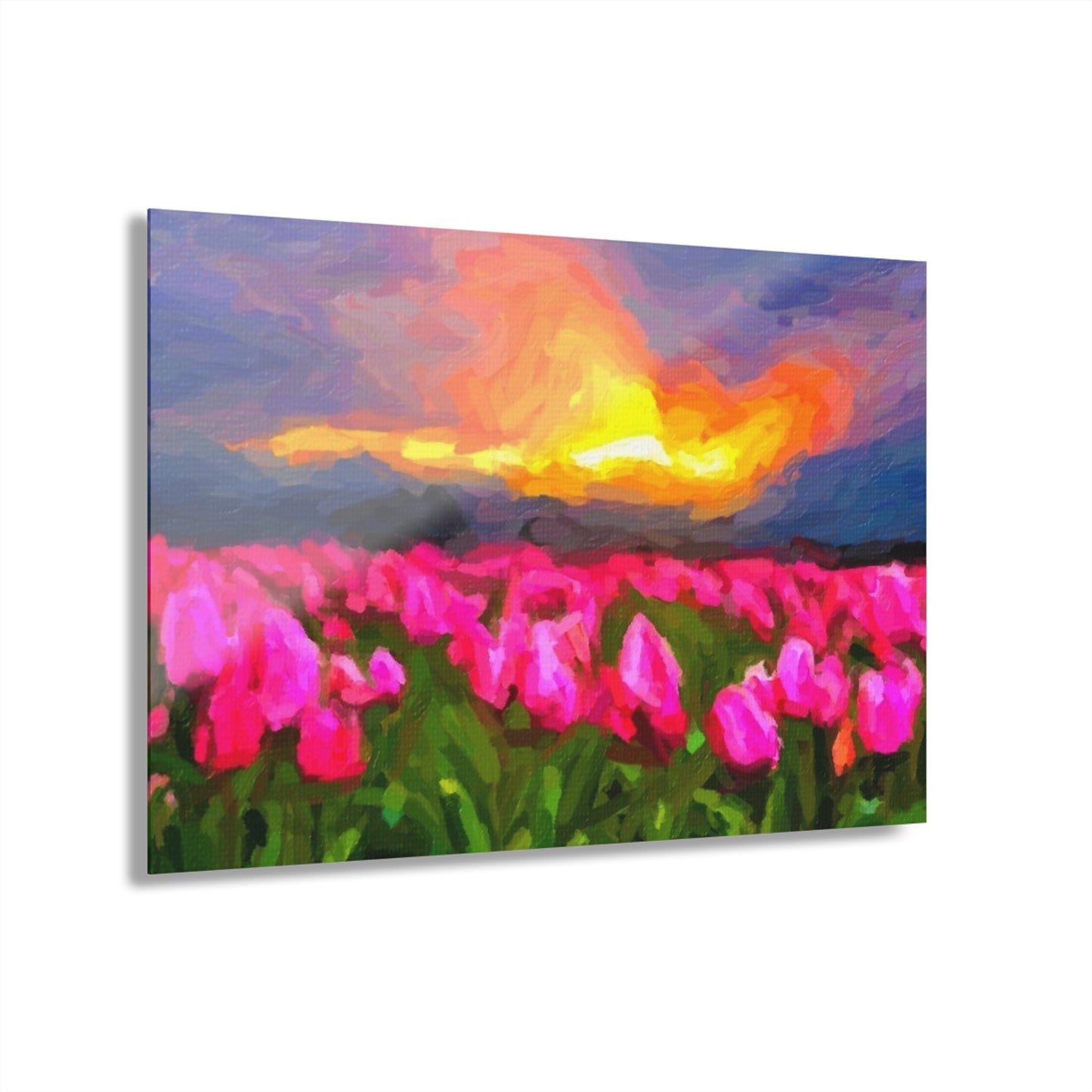 Acrylic Prints (French Cleat Hanging) ... Skagit Valley Tulips ... Skagit Valley, Washington ... Family Archives ... Original Works ... Circa 1980's ...
