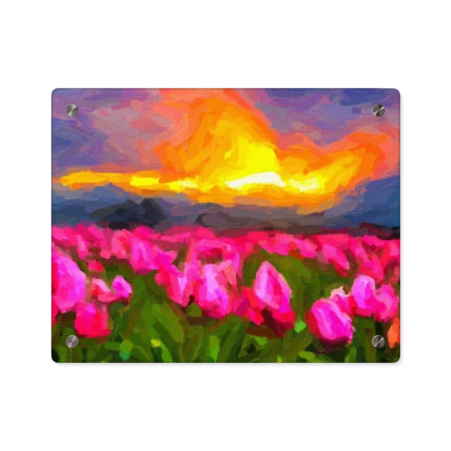 Acrylic Wall Art Panels ... Skagit Valley Tulips ... Skagit Valley, Washington ... Family Archives ... Original Works ... Circa 1980's ...