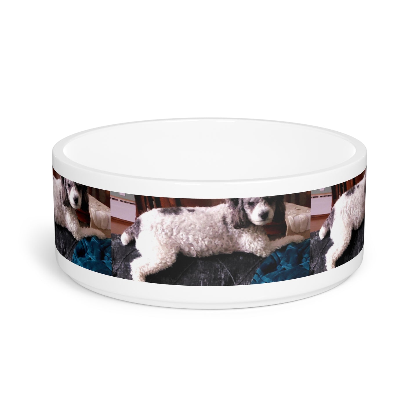 Pet Bowl ... Sadie Johnson_Stenzel ... "Original Works" ... December 2023 ...