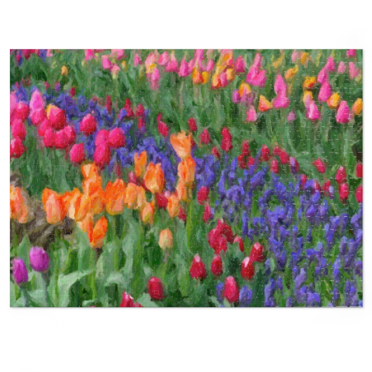 Jigsaw Puzzle (30, 110, 252, 500,1000-Piece) ... Skagit Valley Tulips ... Skagit Valley, Washington ... Family Archives ... Original Works ... Circa 1980's ...