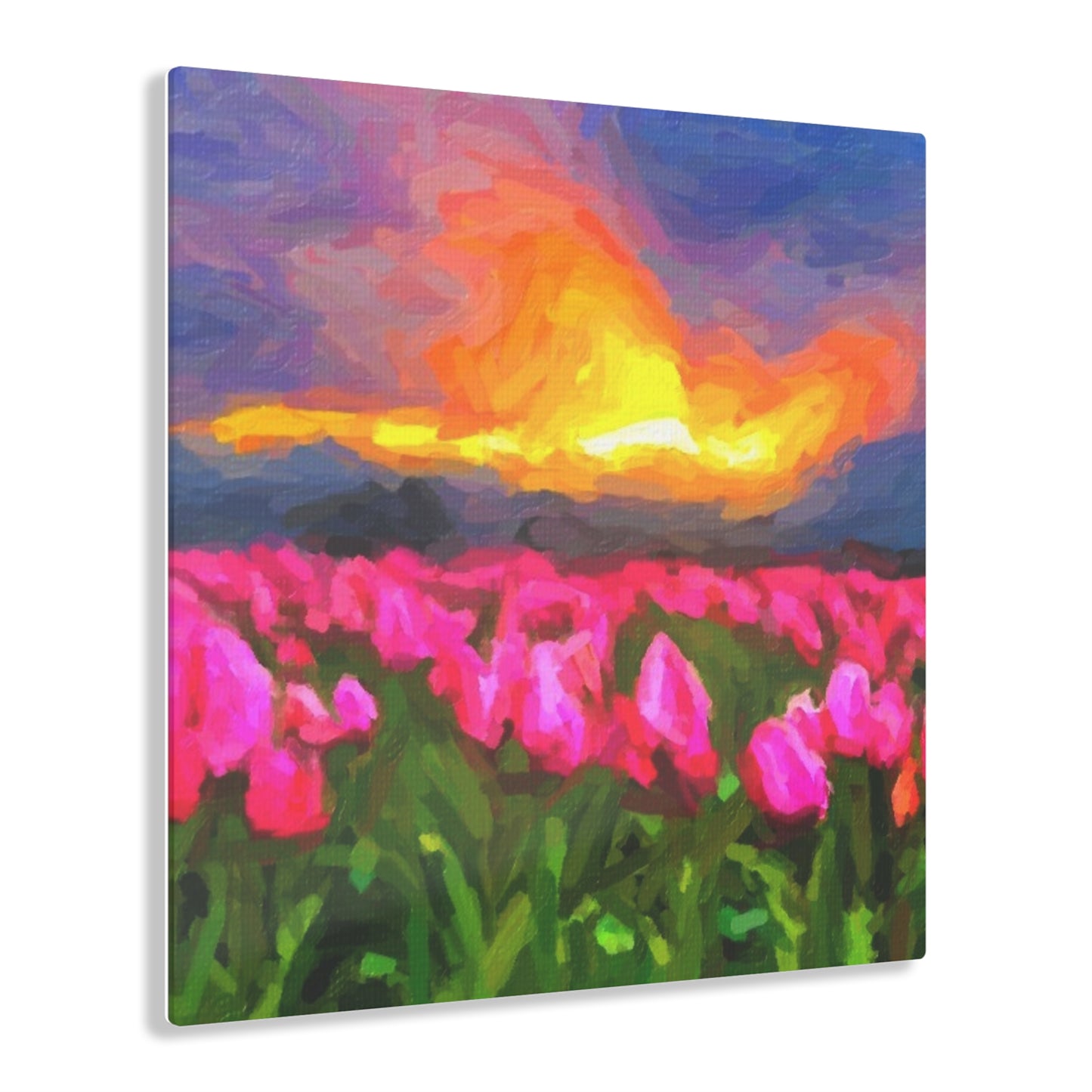 Acrylic Prints ... Skagit Valley Tulips ... Skagit Valley, Washington ... Family Archives ... Original Works ... Circa 1980's ...
