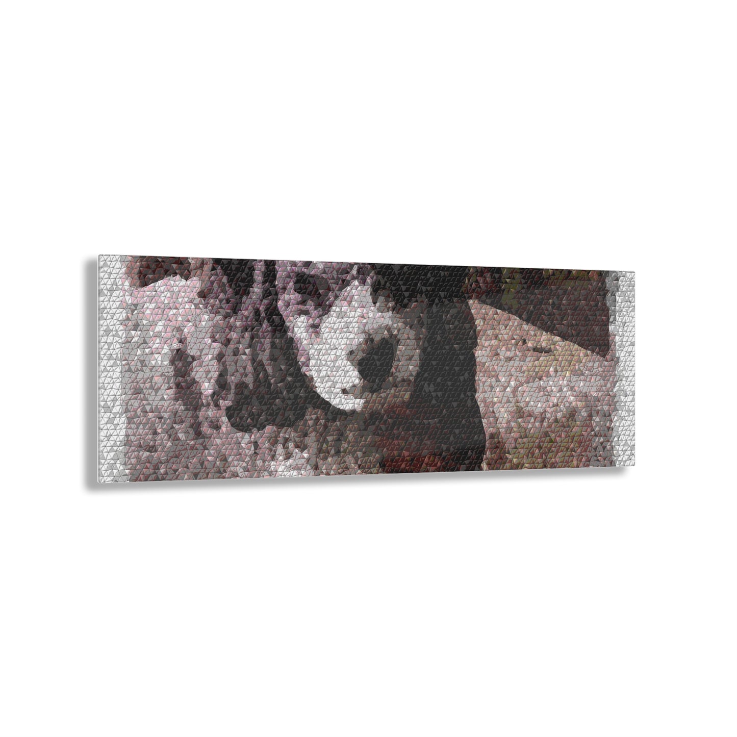 Acrylic Prints ... Sadie Johnson_Stenzel ... "Original Works" ... December 2023 ...