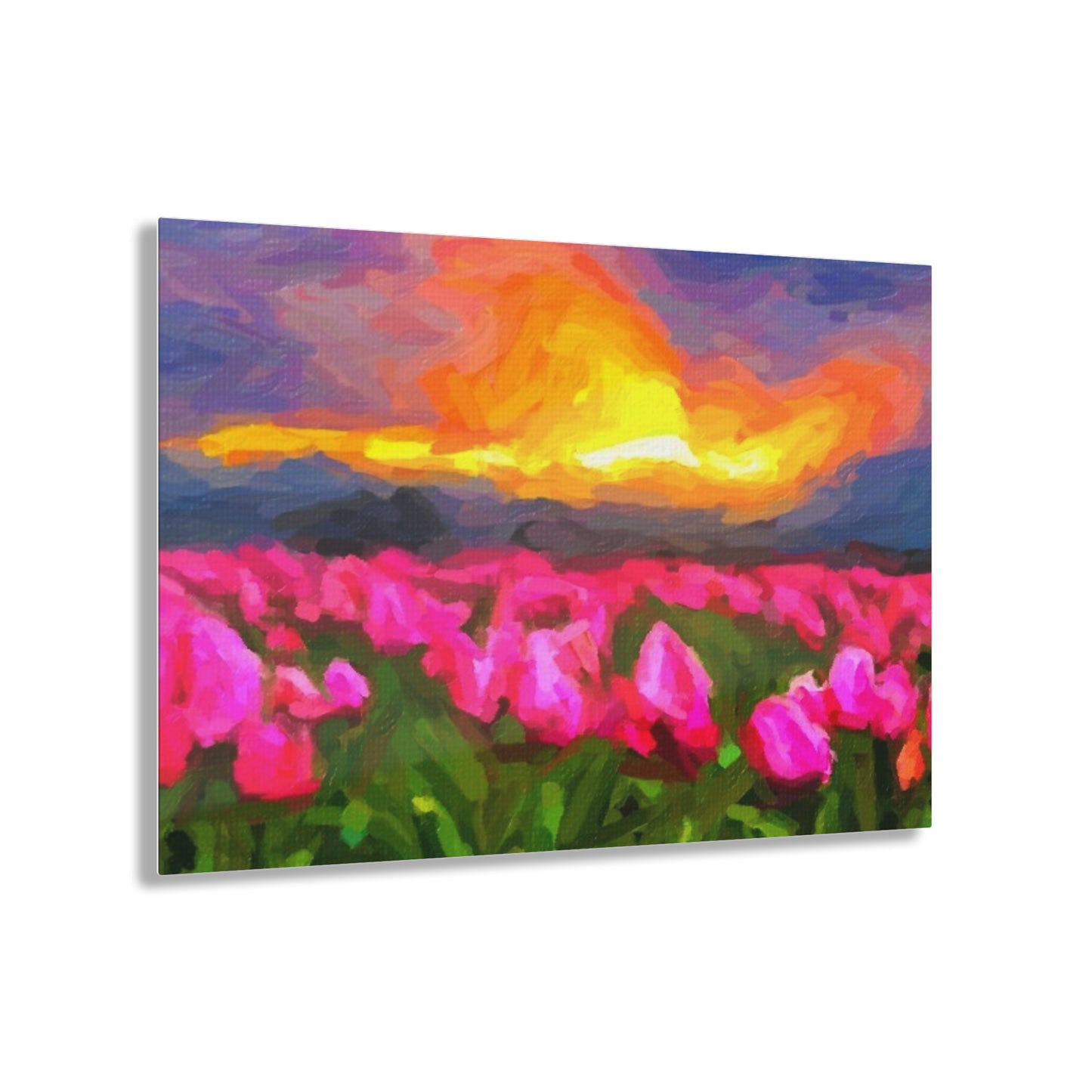 Acrylic Prints ... Skagit Valley Tulips ... Skagit Valley, Washington ... Family Archives ... Original Works ... Circa 1980's ...