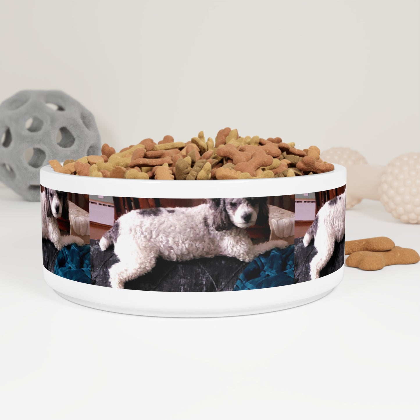 Pet Bowl ... Sadie Johnson_Stenzel ... "Original Works" ... December 2023 ...