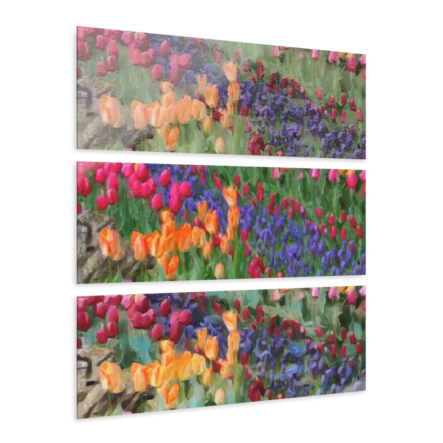 Acrylic Prints (Triptych) ... Skagit Valley Tulips ... Skagit Valley, Washington ... Family Archives ... Original Works ... Circa 1980's ...