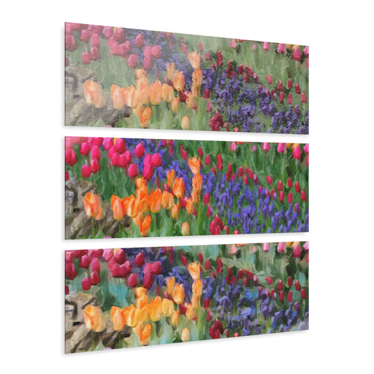 Acrylic Prints (Triptych) ... Skagit Valley Tulips ... Skagit Valley, Washington ... Family Archives ... Original Works ... Circa 1980's ...