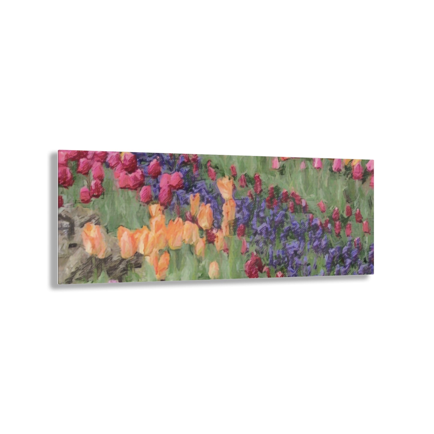 Acrylic Prints ... Skagit Valley Tulips ... Skagit Valley, Washington ... Family Archives ... Original Works ... Circa 1980's ...