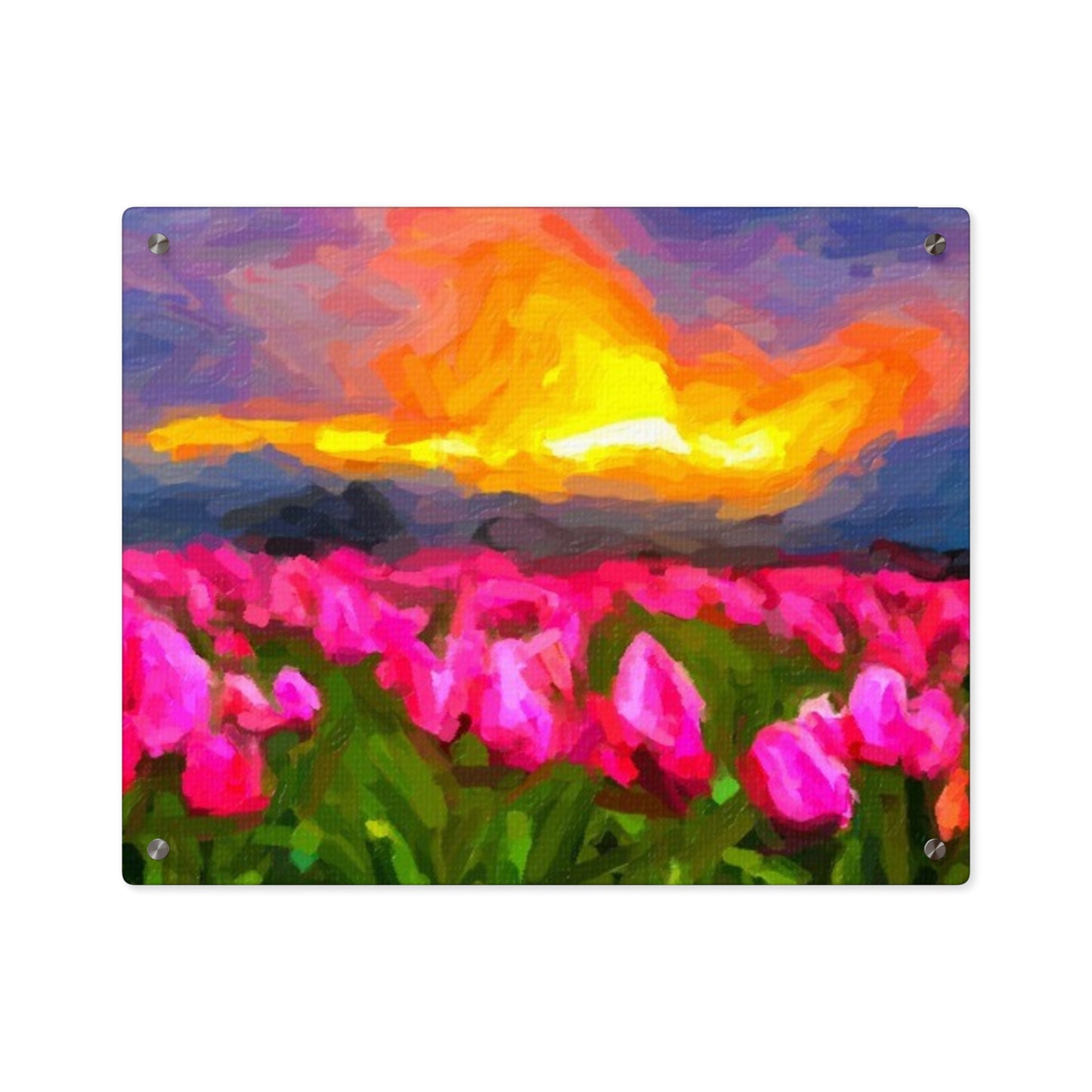 Acrylic Wall Art Panels ... Skagit Valley Tulips ... Skagit Valley, Washington ... Family Archives ... Original Works ... Circa 1980's ...