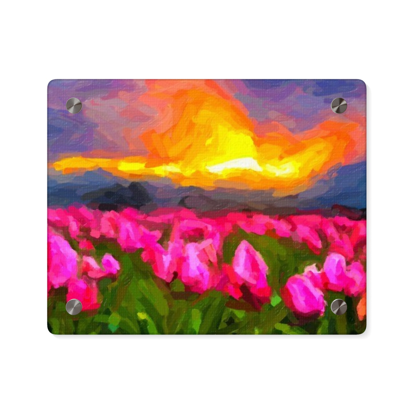 Acrylic Wall Art Panels ... Skagit Valley Tulips ... Skagit Valley, Washington ... Family Archives ... Original Works ... Circa 1980's ...