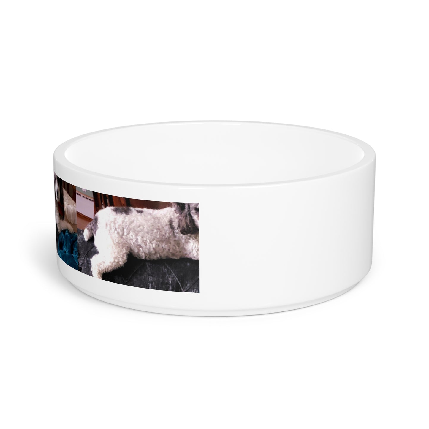 Pet Bowl ... Sadie Johnson_Stenzel ... "Original Works" ... December 2023 ...
