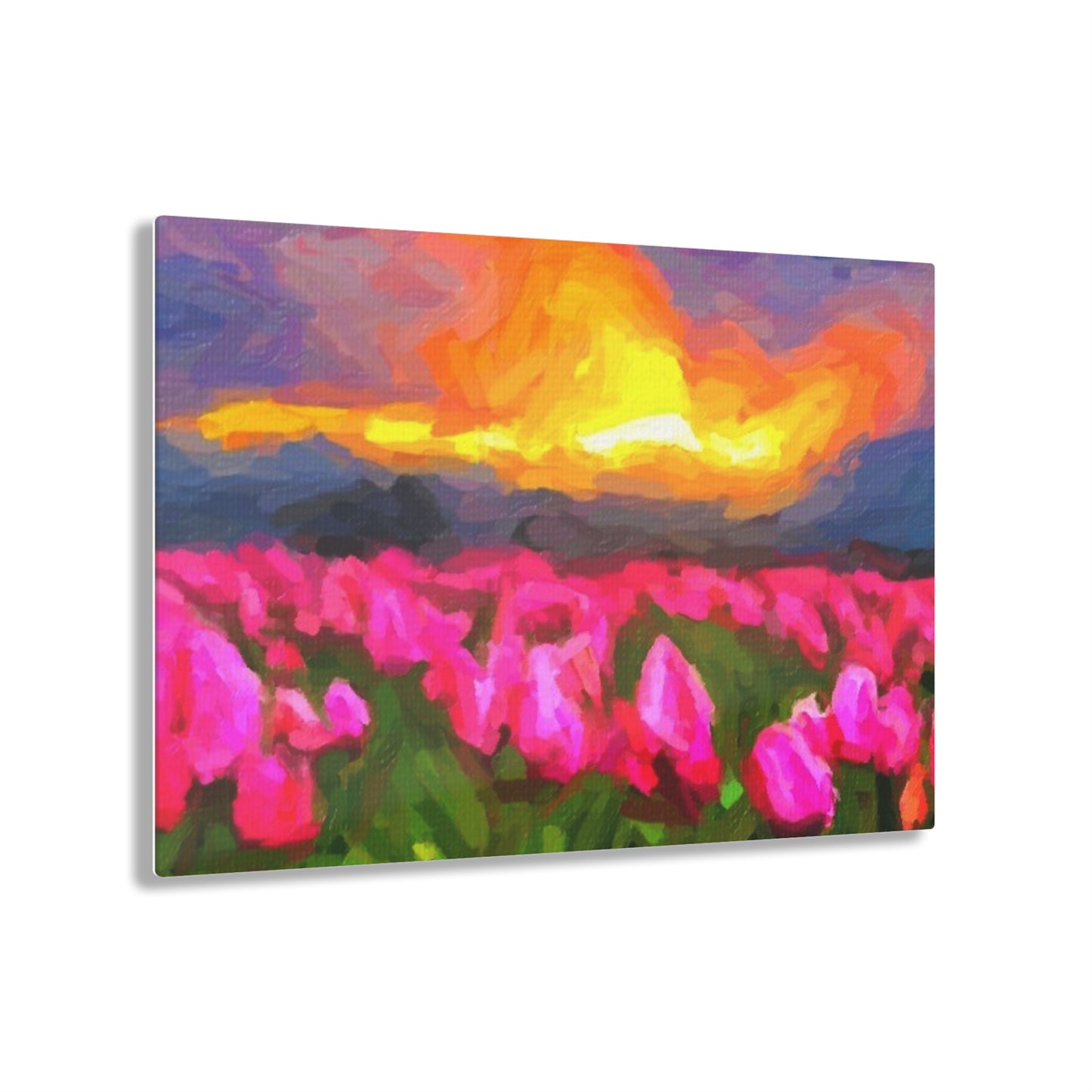 Acrylic Prints ... Skagit Valley Tulips ... Skagit Valley, Washington ... Family Archives ... Original Works ... Circa 1980's ...