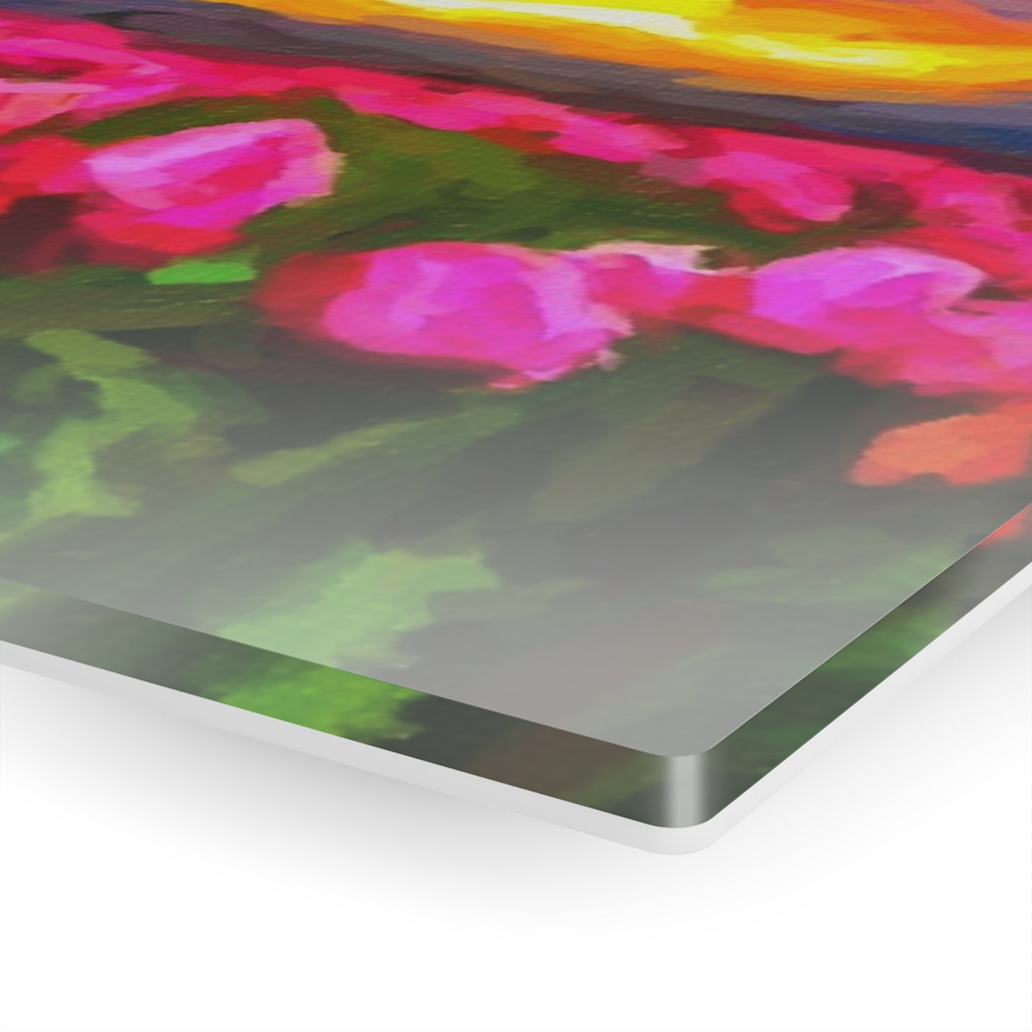 Acrylic Prints ... Skagit Valley Tulips ... Skagit Valley, Washington ... Family Archives ... Original Works ... Circa 1980's ...