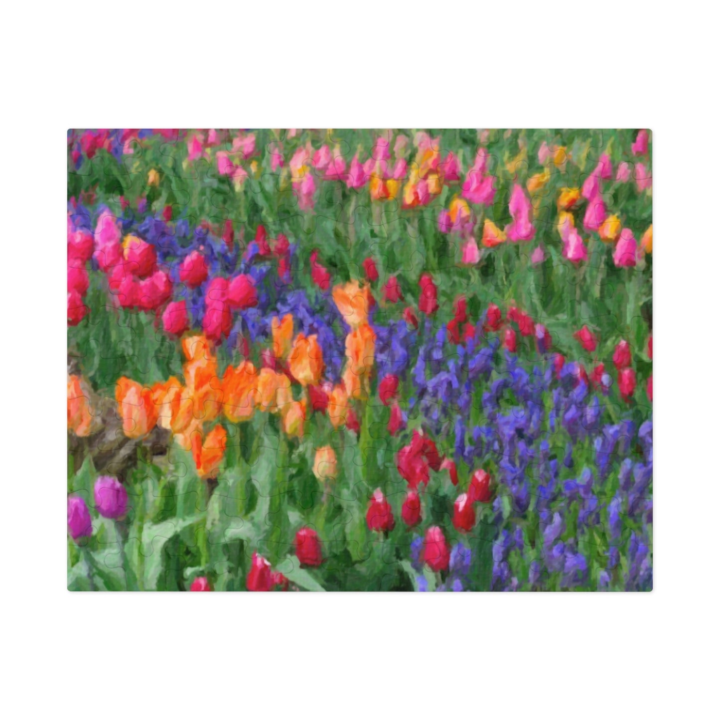 Jigsaw Puzzle (30, 110, 252, 500,1000-Piece) ... Skagit Valley Tulips ... Skagit Valley, Washington ... Family Archives ... Original Works ... Circa 1980's ...