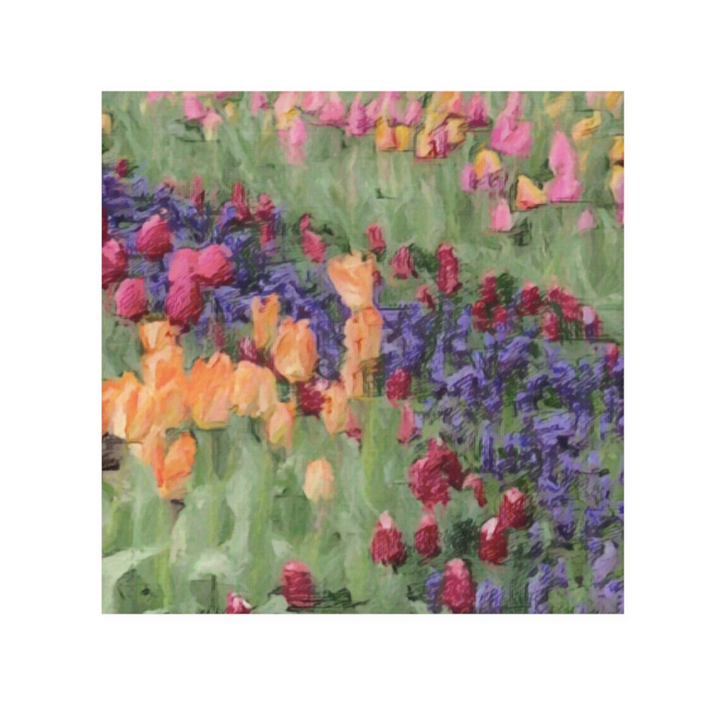 Face Towel ... Skagit Valley Tulips ... Skagit Valley, Washington ... Family Archives ... Original Works ... Circa 1980's ...