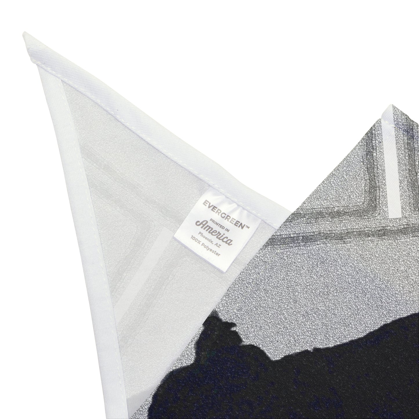 Pet Bandana ... Jett Stenzel ... "Having Fun With Dad & Friends" ... Rhett Creek, Idaho ... Spring 2023 ... Original Works ...