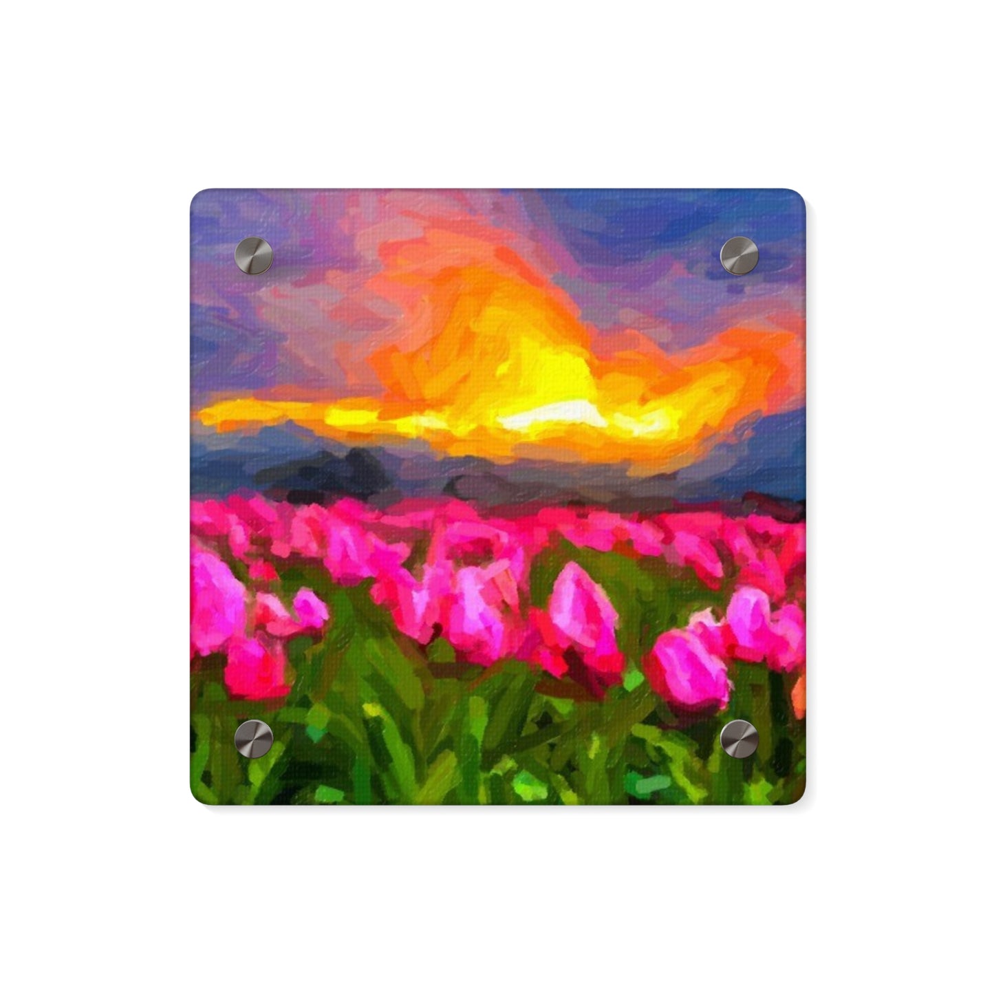 Acrylic Wall Art Panels ... Skagit Valley Tulips ... Skagit Valley, Washington ... Family Archives ... Original Works ... Circa 1980's ...