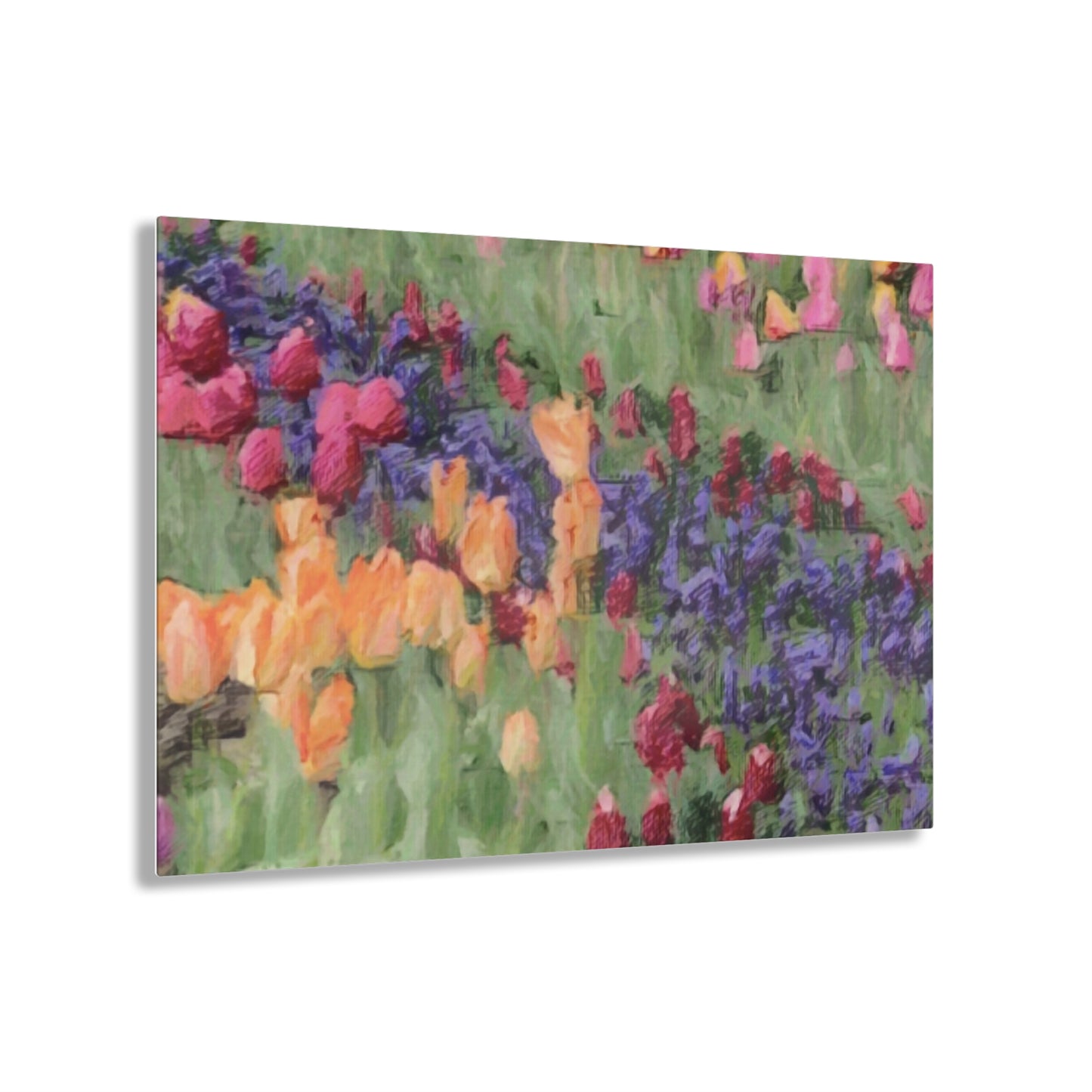 Acrylic Prints ... Skagit Valley Tulips ... Skagit Valley, Washington ... Family Archives ... Original Works ... Circa 1980's ...