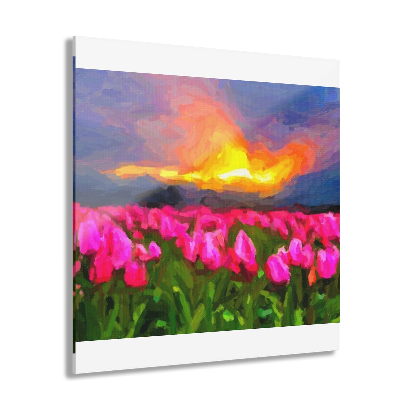 Acrylic Prints (French Cleat Hanging) ... Skagit Valley Tulips ... Skagit Valley, Washington ... Family Archives ... Original Works ... Circa 1980's ...