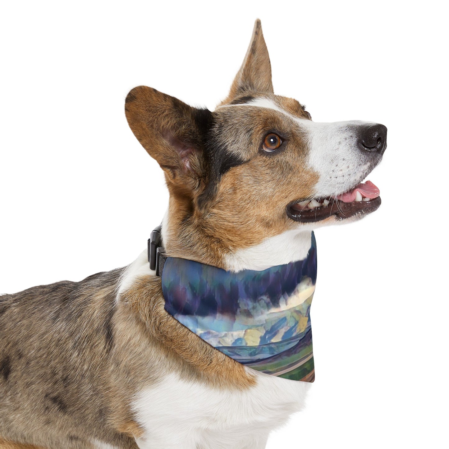 Pet Bandana Collar ... On-The-Prairie .. "The Storm Is Brewing" ... Central Idaho: November 2023 ... Original Works  ...