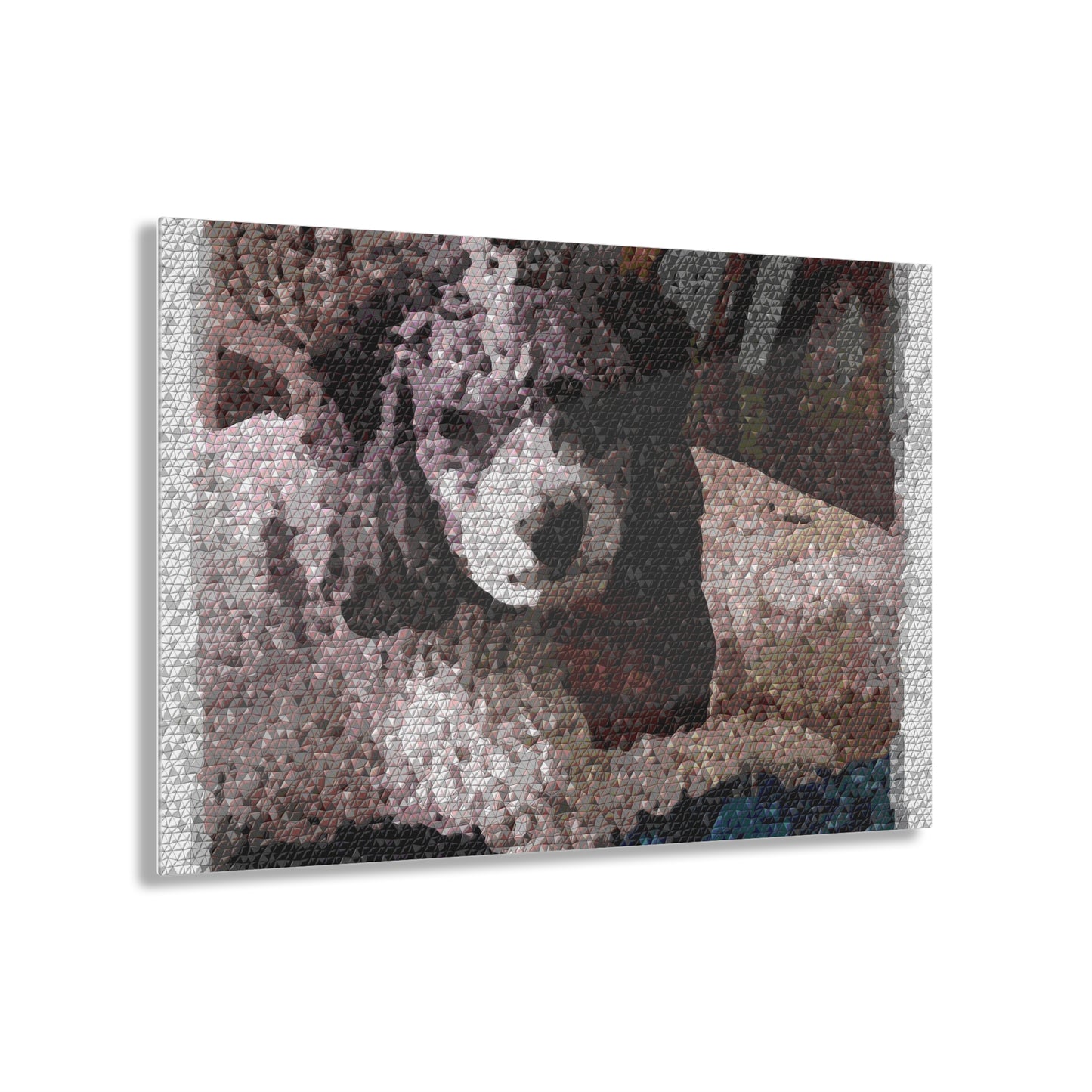 Acrylic Prints ... Sadie Johnson_Stenzel ... "Original Works" ... December 2023 ...