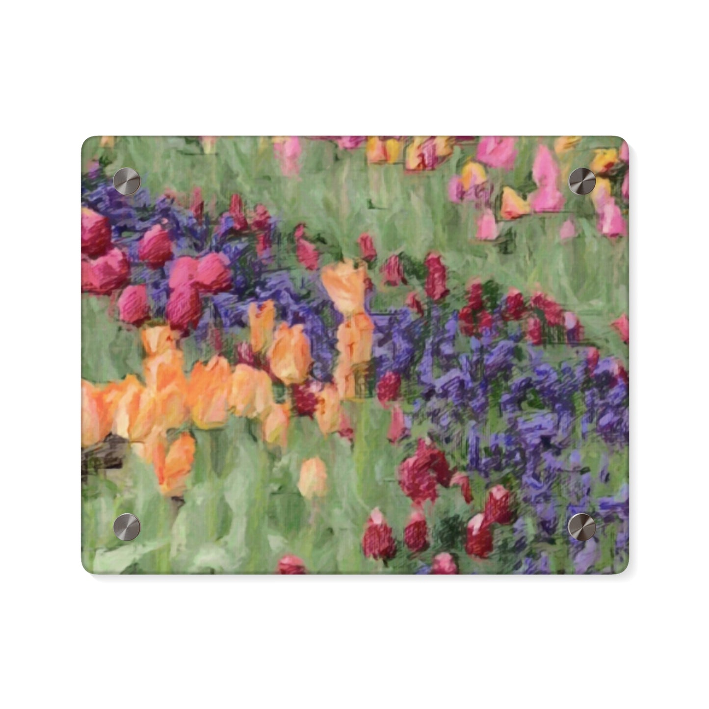 Acrylic Wall Art Panels ... Skagit Valley Tulips ... Skagit Valley, Washington ... Family Archives ... Original Works ... Circa 1980's ...