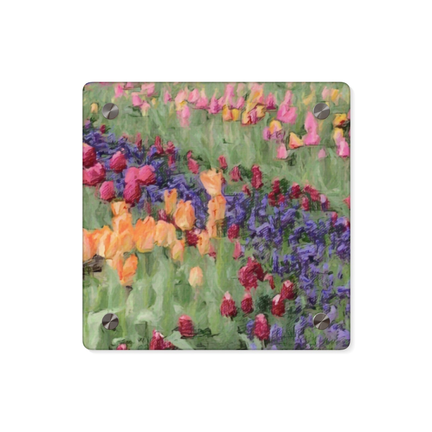 Acrylic Wall Art Panels ... Skagit Valley Tulips ... Skagit Valley, Washington ... Family Archives ... Original Works ... Circa 1980's ...