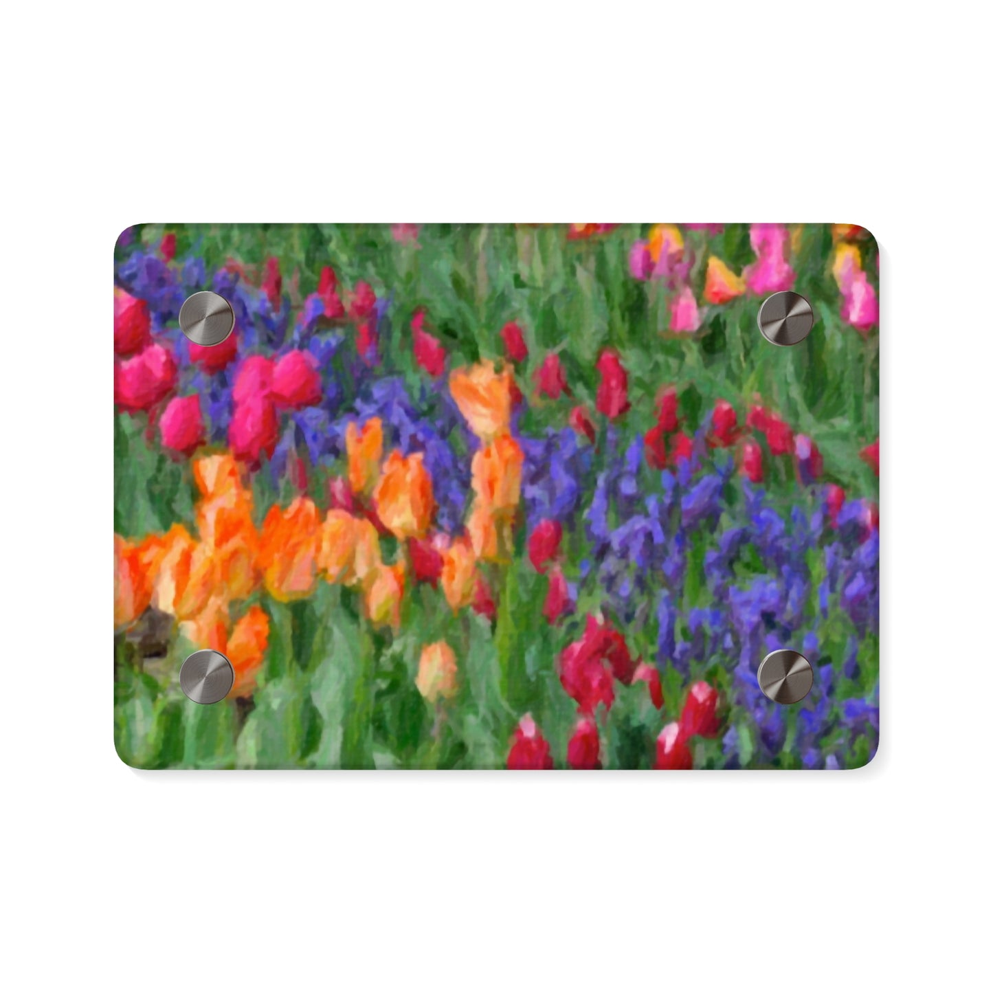 Acrylic Wall Art Panels ... Skagit Valley Tulips ... Skagit Valley, Washington ... Family Archives ... Original Works ... Circa 1980's ...