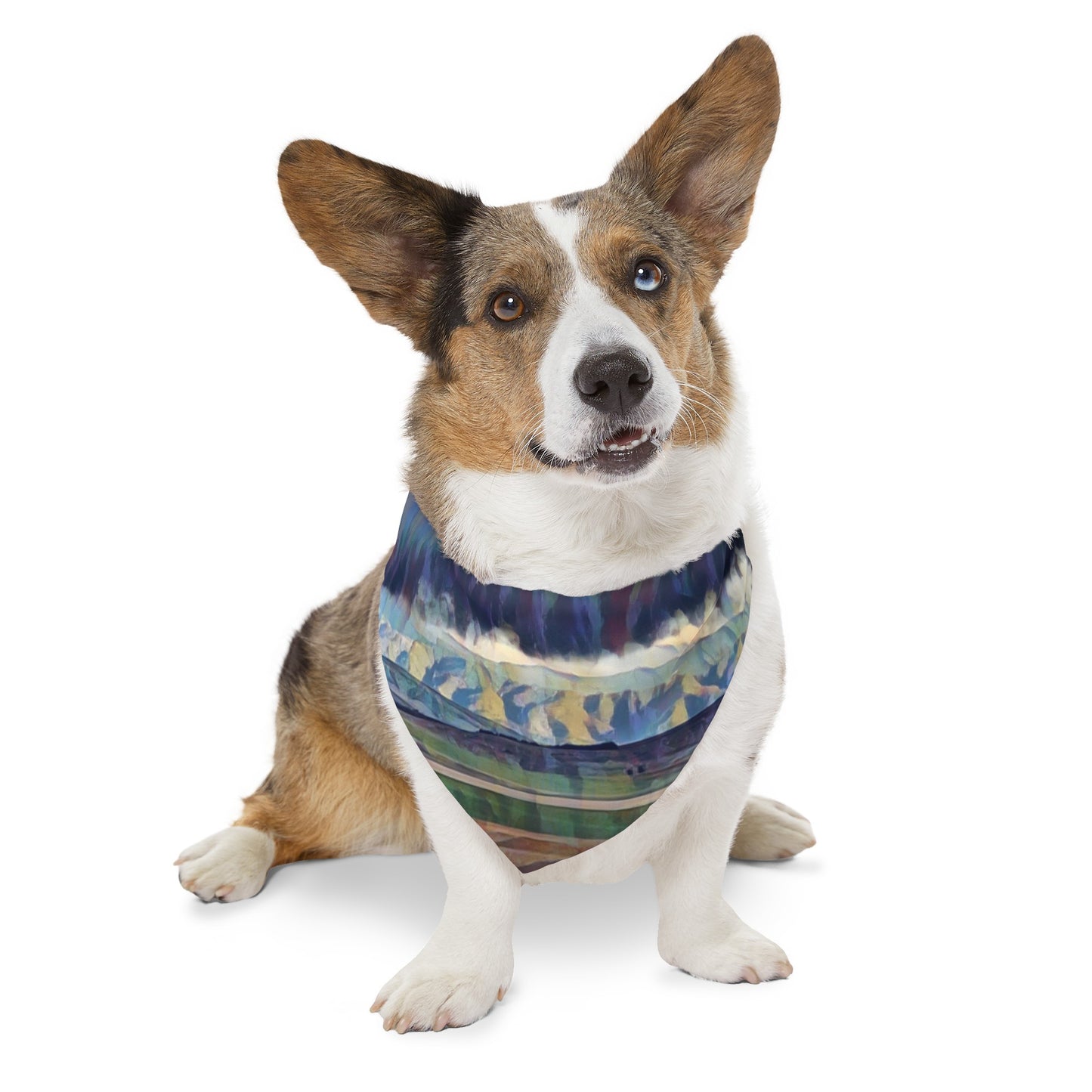 Pet Bandana Collar ... On-The-Prairie .. "The Storm Is Brewing" ... Central Idaho: November 2023 ... Original Works  ...