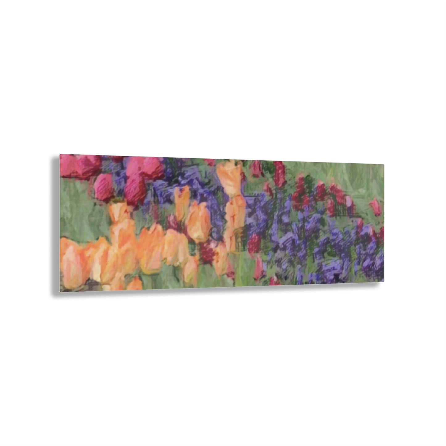 Acrylic Prints ... Skagit Valley Tulips ... Skagit Valley, Washington ... Family Archives ... Original Works ... Circa 1980's ...