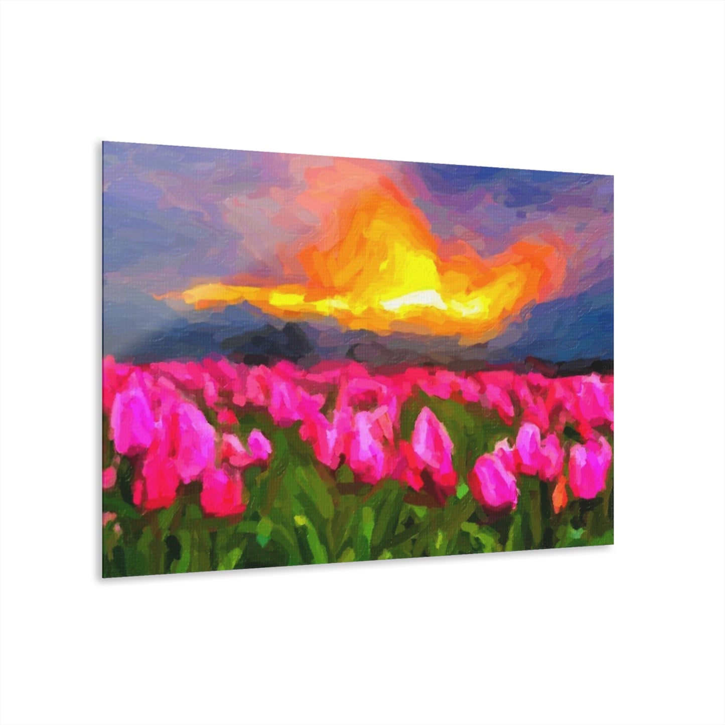 Acrylic Prints (French Cleat Hanging) ... Skagit Valley Tulips ... Skagit Valley, Washington ... Family Archives ... Original Works ... Circa 1980's ...