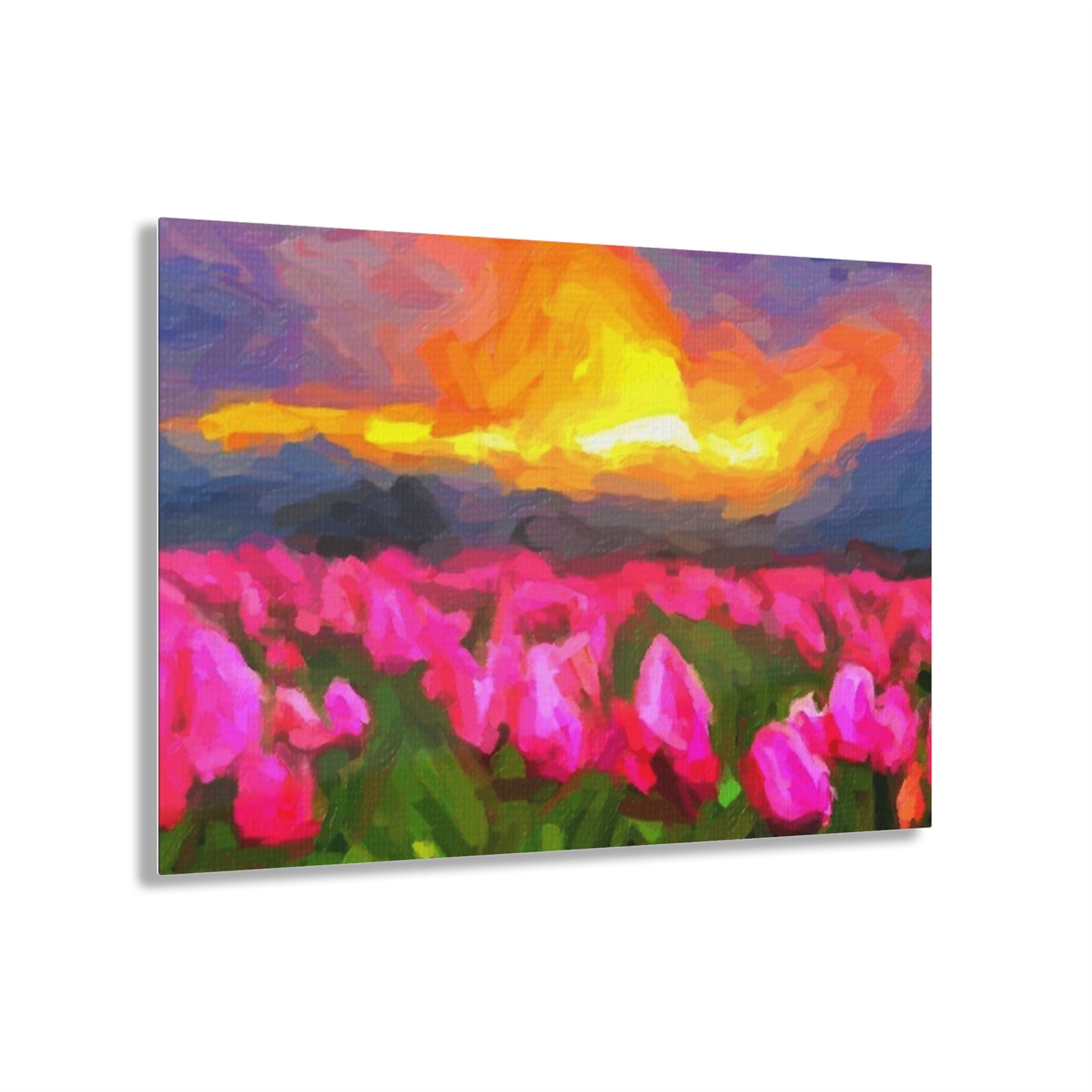 Acrylic Prints ... Skagit Valley Tulips ... Skagit Valley, Washington ... Family Archives ... Original Works ... Circa 1980's ...