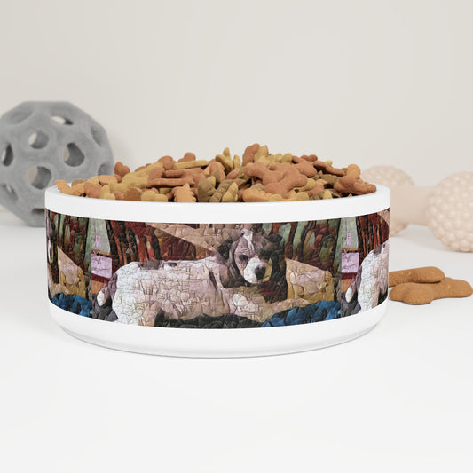 Pet Bowl ... Sadie Johnson_Stenzel ... "Original Works" ... December 2023 ...
