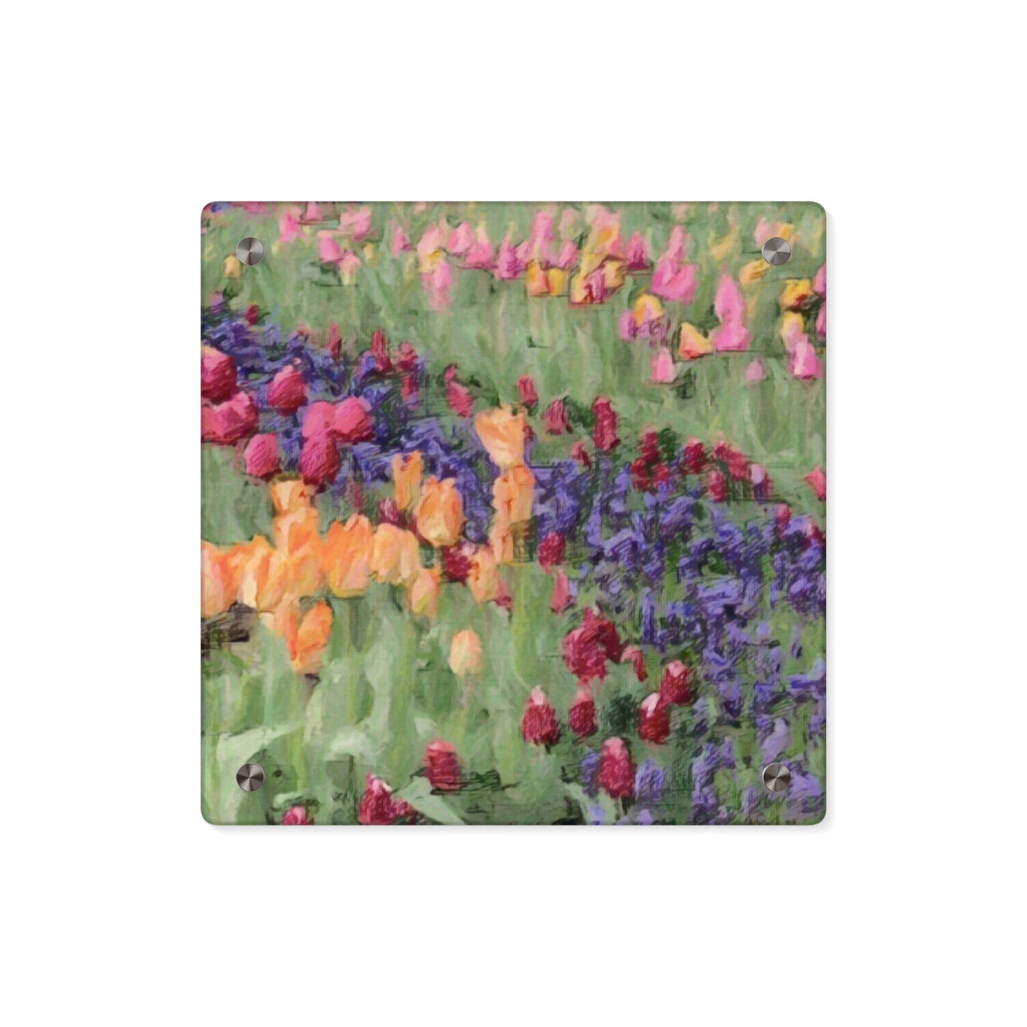 Acrylic Wall Art Panels ... Skagit Valley Tulips ... Skagit Valley, Washington ... Family Archives ... Original Works ... Circa 1980's ...
