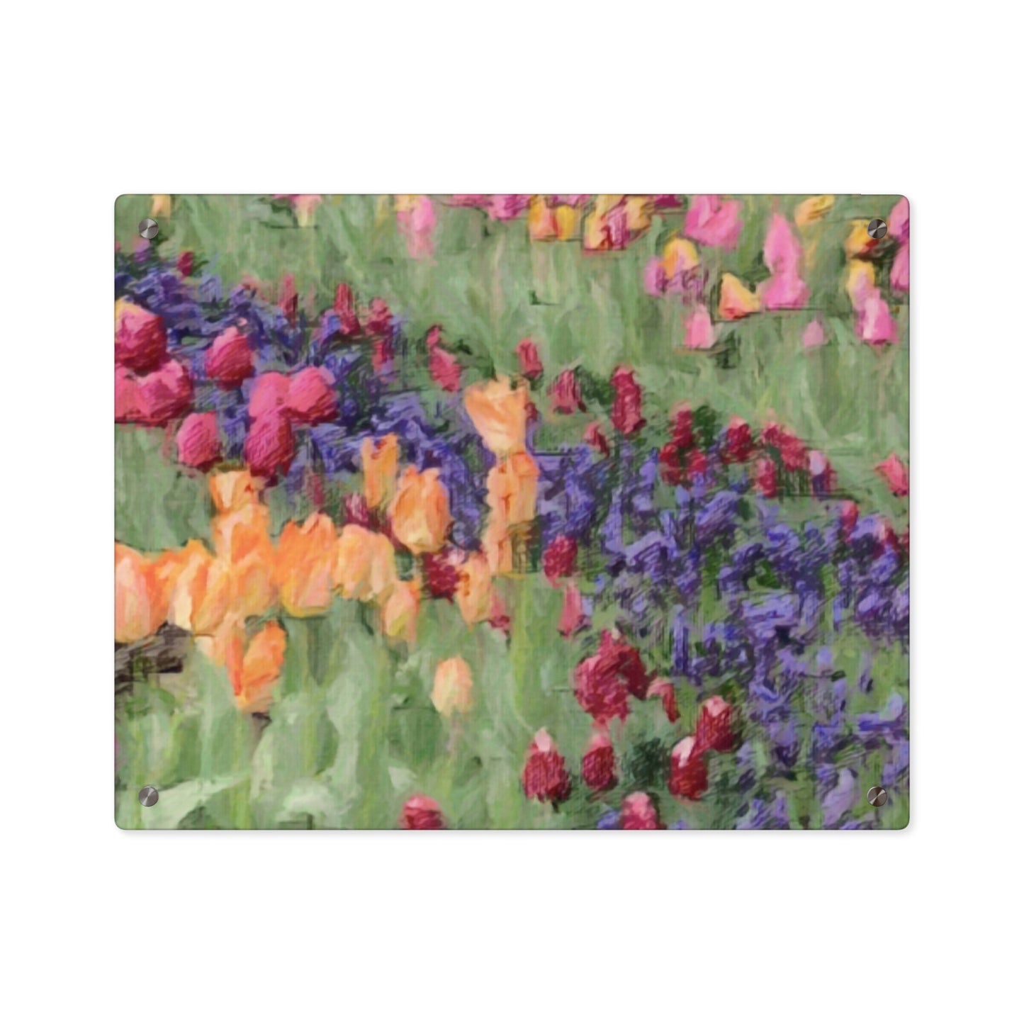 Acrylic Wall Art Panels ... Skagit Valley Tulips ... Skagit Valley, Washington ... Family Archives ... Original Works ... Circa 1980's ...