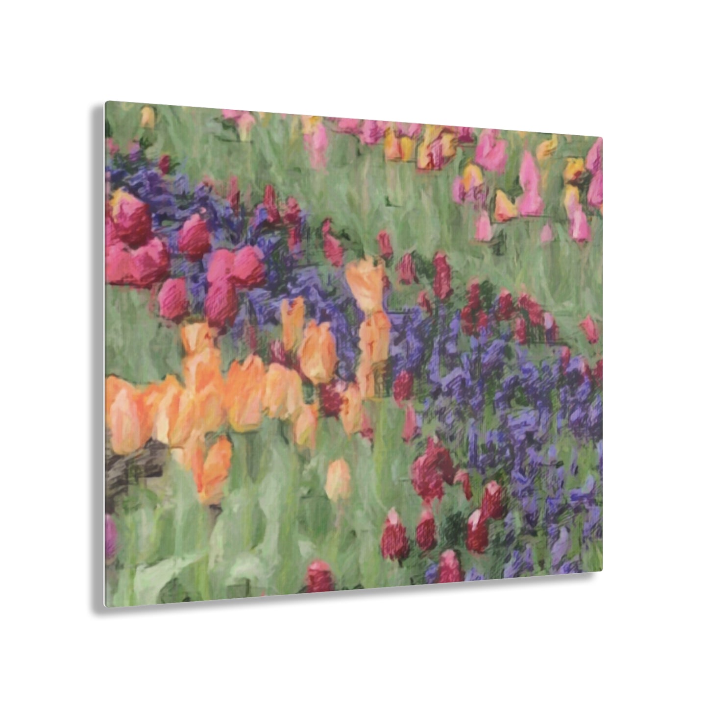 Acrylic Prints ... Skagit Valley Tulips ... Skagit Valley, Washington ... Family Archives ... Original Works ... Circa 1980's ...