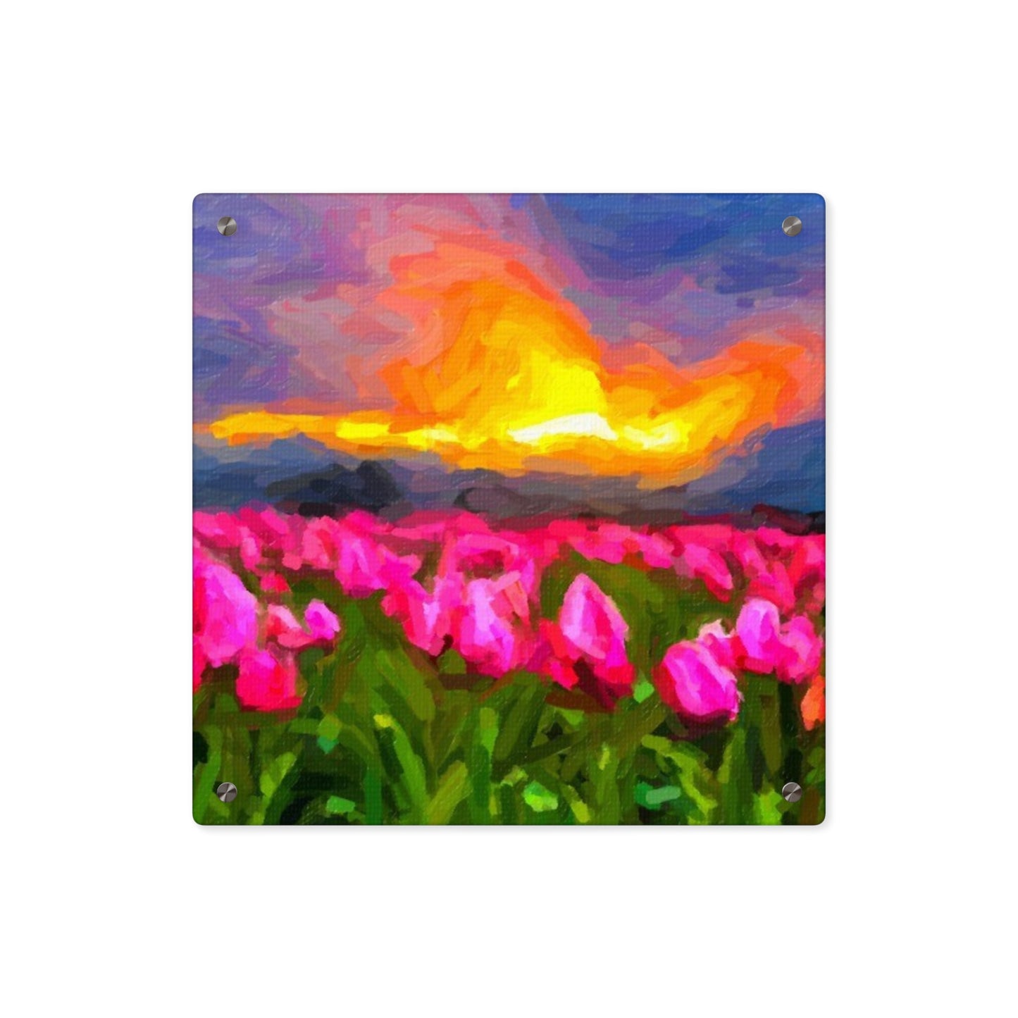 Acrylic Wall Art Panels ... Skagit Valley Tulips ... Skagit Valley, Washington ... Family Archives ... Original Works ... Circa 1980's ...