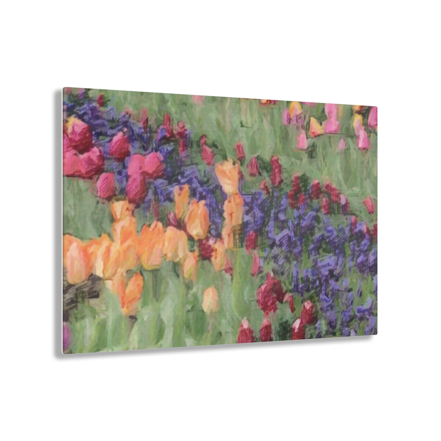 Acrylic Prints ... Skagit Valley Tulips ... Skagit Valley, Washington ... Family Archives ... Original Works ... Circa 1980's ...